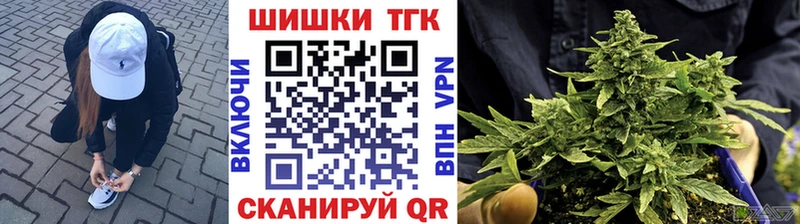 ГАШ Кувшиново