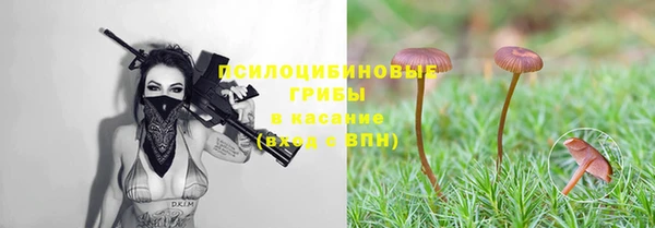 винт Алексеевка