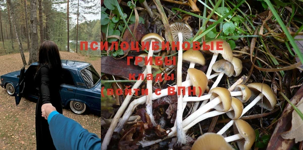 PSILOCYBIN Алзамай