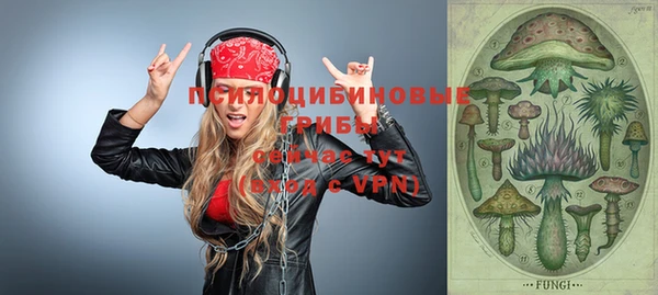 винт Алексеевка