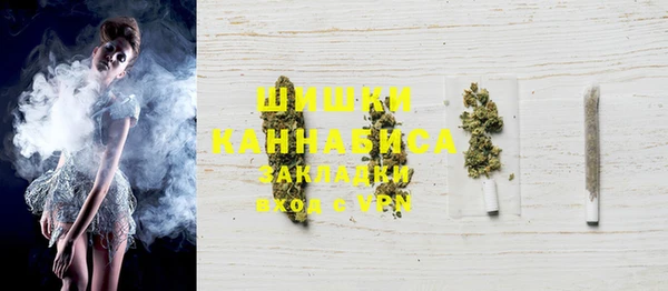 PSILOCYBIN Алзамай