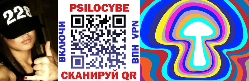 закладка  Кувшиново  Псилоцибиновые грибы мухоморы 